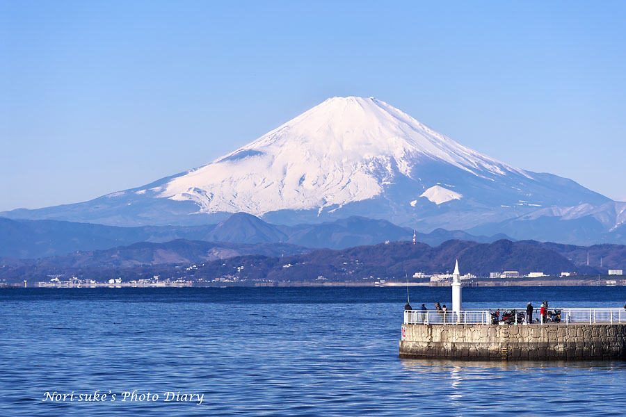 江の島から見た富士山と 猫たち Nori Sukeの写真散歩