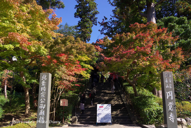 北鎌倉 円覚寺の紅葉はじめ Nori Sukeの写真散歩