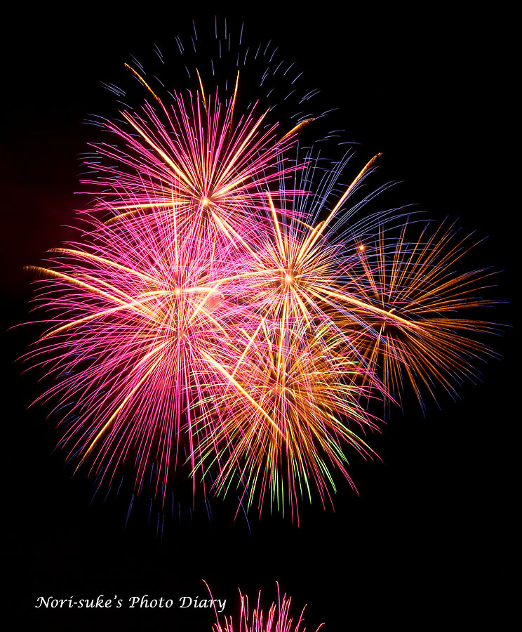 小田原酒匂川花火大会13 Nori Sukeの写真散歩