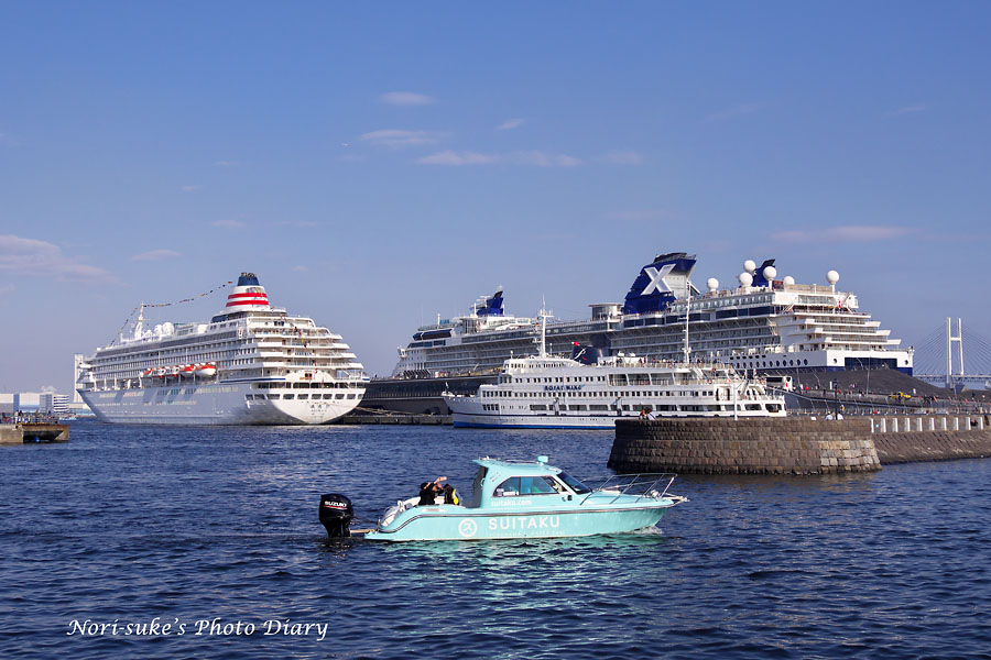 横浜大桟橋：飛鳥IIとセレブリティ・ミレニアム 2019年11月 : Nori