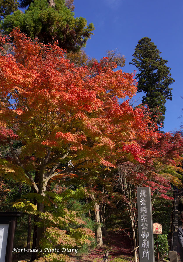 北鎌倉 円覚寺の紅葉 中盤 Nori Sukeの写真散歩