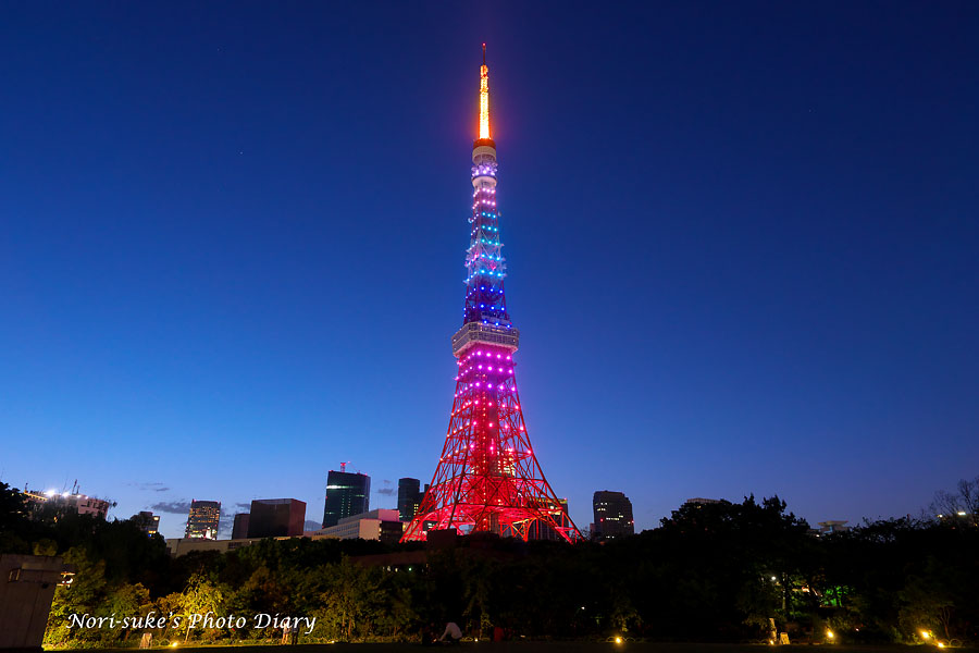 東京タワー ライトアップ ダイヤモンドヴェール Nori Sukeの写真散歩 東京タワー ライトアップ ダイヤモンドヴェール Nori Sukeの写真散歩