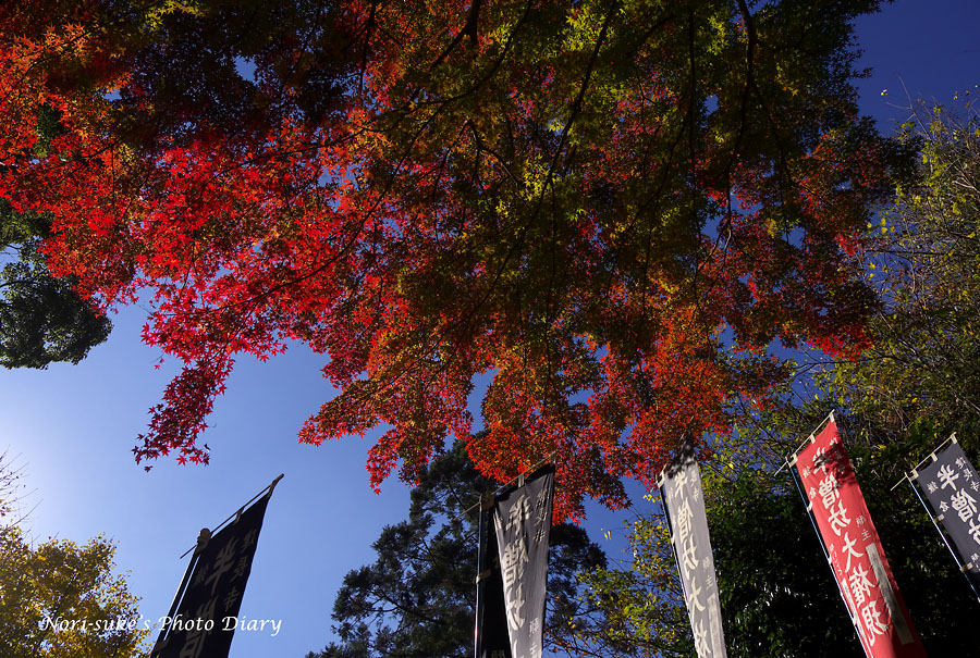 北鎌倉 建長寺の紅葉 Nori Sukeの写真散歩