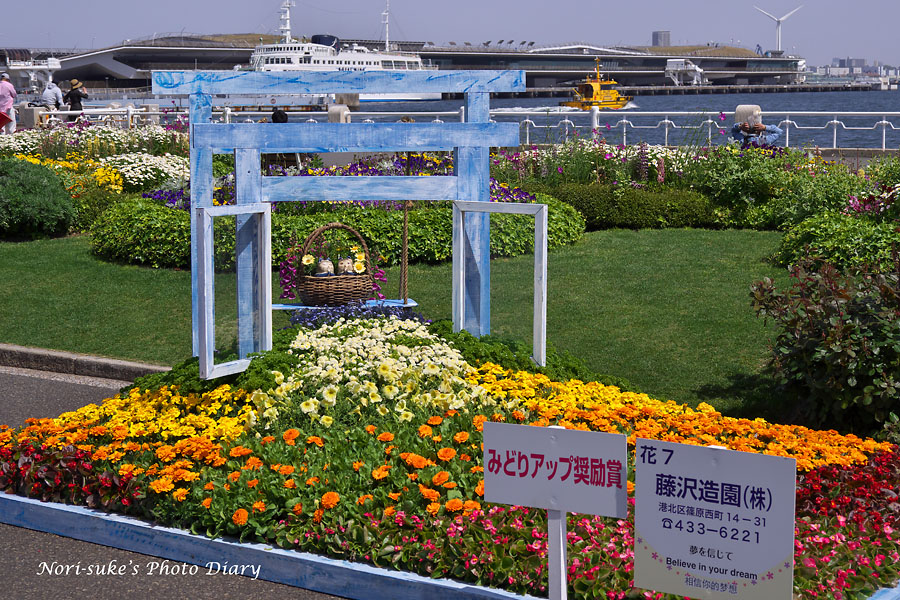 横浜 山下公園の花壇展 21 Nori Sukeの写真散歩