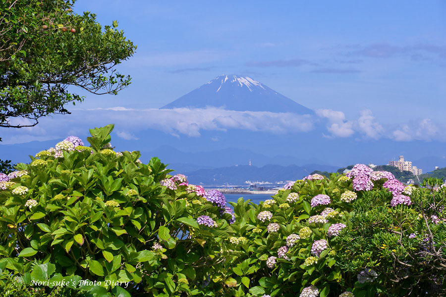 鎌倉 逗子 藤沢の富士山ビュースポット 海岸沿い 1 Nori Sukeの写真散歩