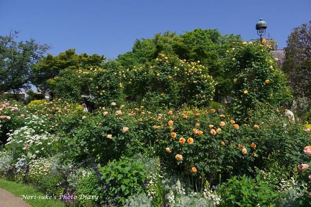 d4f22359-s.jpg