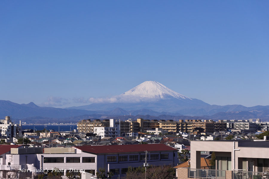 路面走行の江ノ電300形 お正月サボ 2022 : Nori-sukeの写真散歩