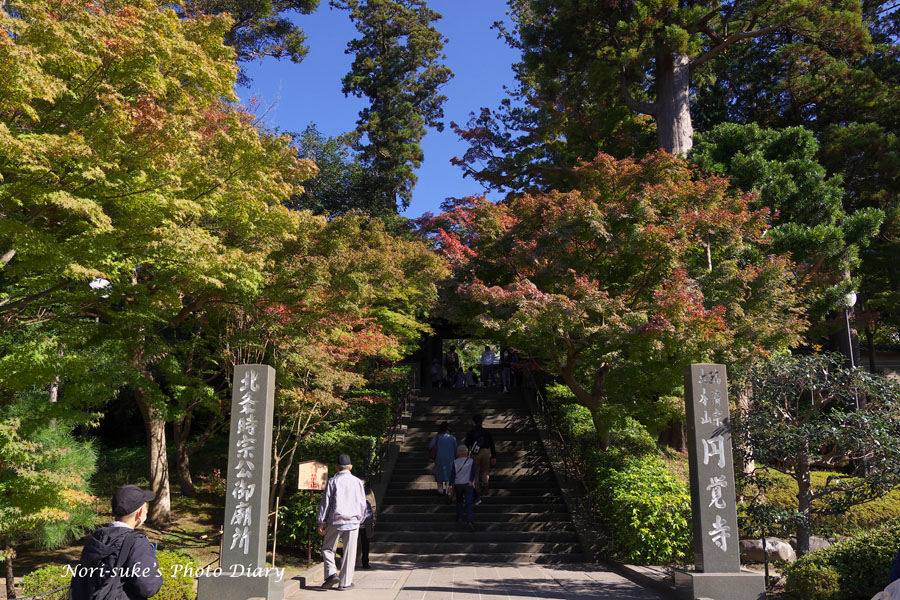 北鎌倉 円覚寺の紅葉はじめ 21 Nori Sukeの写真散歩