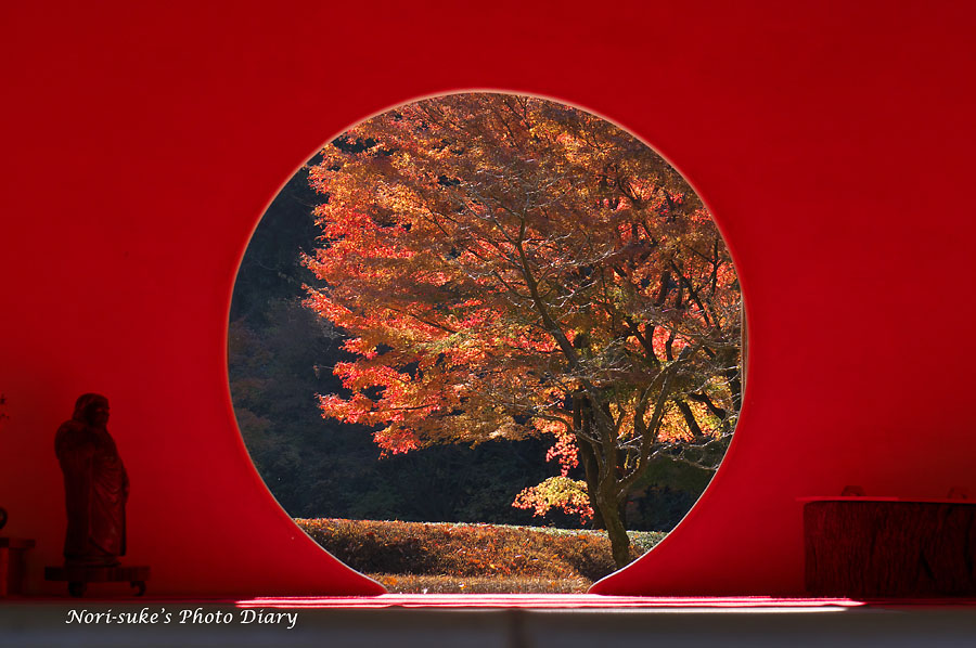 北鎌倉 明月院 丸窓の四季 Nori Sukeの写真散歩 北鎌倉 明月院 丸窓の四季 Nori Sukeの写真散歩