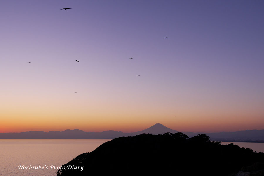 江の島・夕日と富士山 2023 冬 : Nori-sukeの写真散歩 江の島・夕日と富士山 2023 冬 : Nori-sukeの写真散歩
