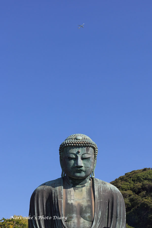 初秋の高徳院(鎌倉大仏) 2023 : Nori-sukeの写真散歩 初秋の高徳院(鎌倉大仏) 2023 : Nori-sukeの写真散歩