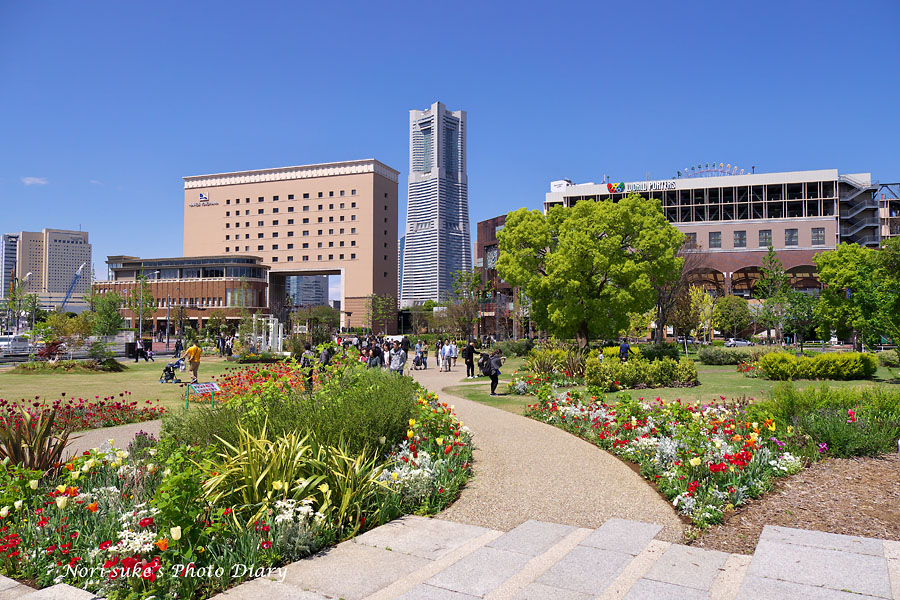 Garden Necklace Yokohama 17 新港中央広場 運河パークの花壇 Nori Sukeの写真散歩 Garden Necklace Yokohama 17 新港中央広場 運河パークの花壇 Nori Sukeの写真散歩