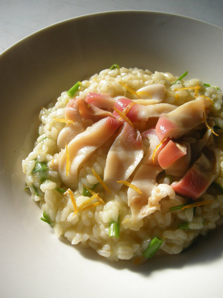 Risotto Alla Yamamotese 柚子風味のホッキ リゾット おいしいイタリア Tavola Giappone Risotto Alla Yamamotese 柚子風味のホッキ リゾット おいしいイタリア Tavola Giappone