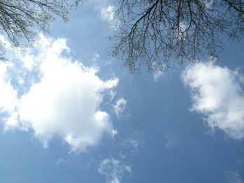 2010 primavera in Italia 072
