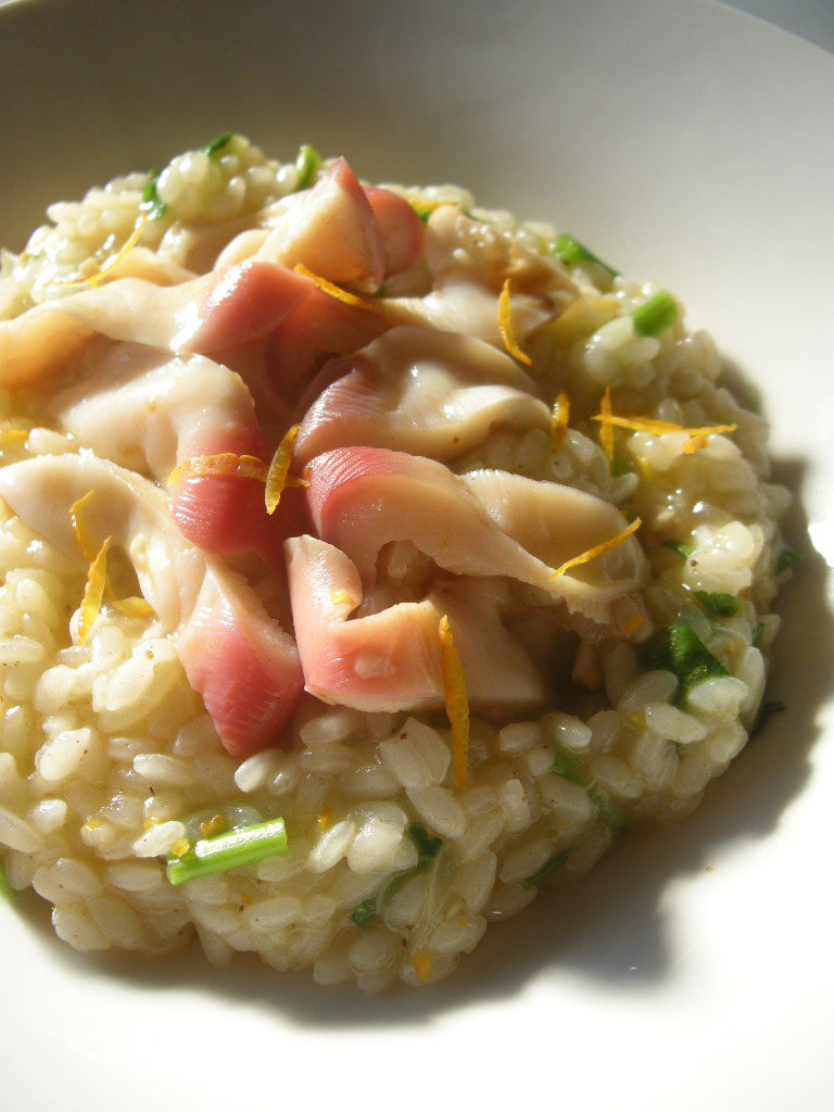 Risotto Alla Yamamotese 柚子風味のホッキ リゾット おいしいイタリア Tavola Giappone