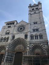 IMG_6031