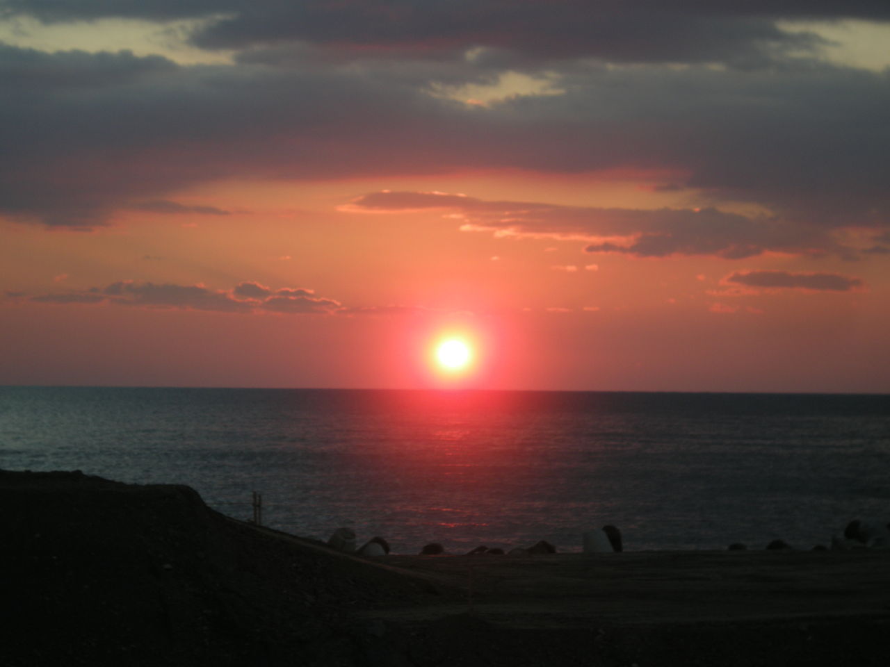 Buon Anno 土井先生の黒豆 おいしいイタリア Tavola Giappone