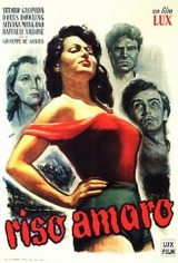 riso-amaro