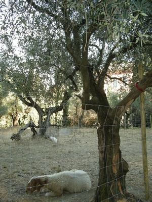 2008 settembre 018