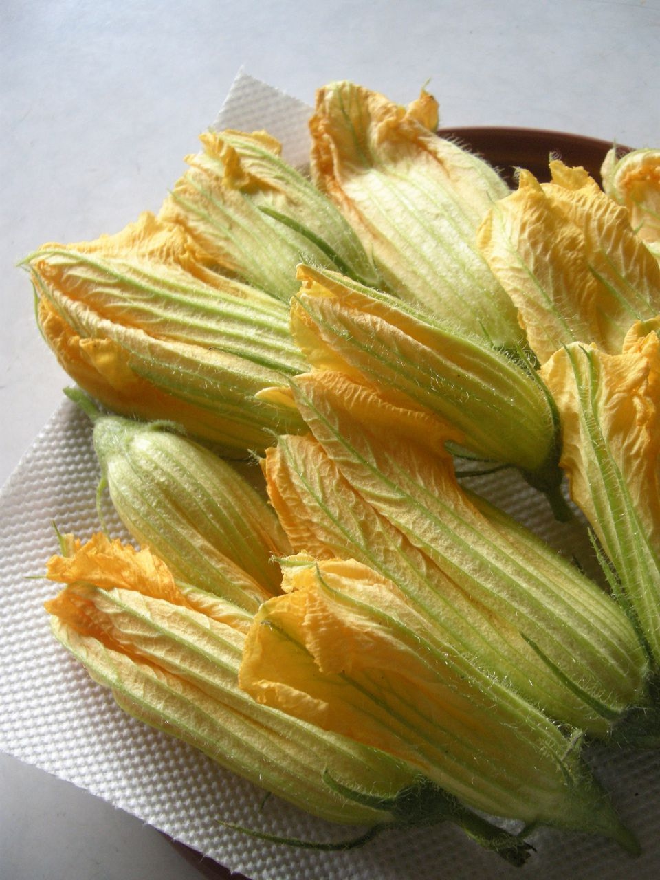 Fiori Di Zucca Fritti かぼちゃの花のフリット おいしいイタリア Tavola Giappone Fiori Di Zucca Fritti かぼちゃの花のフリット おいしいイタリア Tavola Giappone