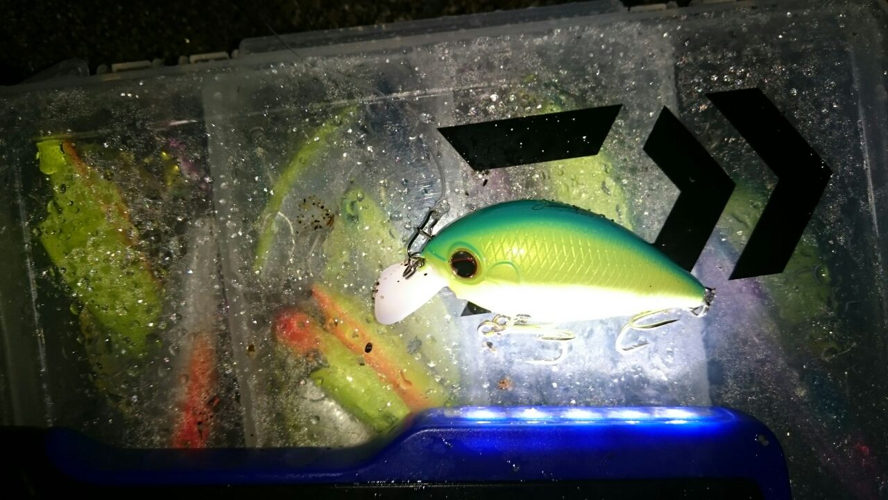 涸沼 シーバス クランクでランカーシーバス のり 釣行記 涸沼 シーバス クランクでランカーシーバス のり 釣行記