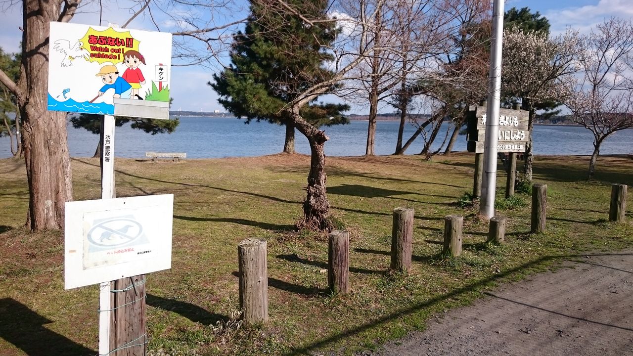 続 涸沼 親沢公園釣り禁止について 涸沼シーバス魂 のり釣行記 第2章 釣りと日常と私 続 涸沼 親沢公園釣り禁止について 涸沼シーバス魂 のり釣行記 第2章 釣りと日常と私