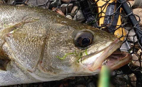 Point Blur_20200603_062210