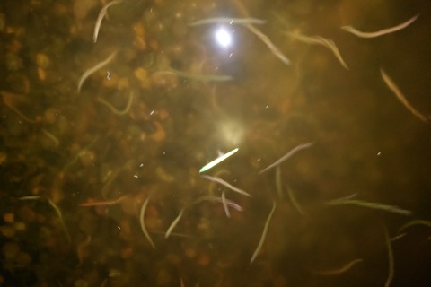 20260318_213637