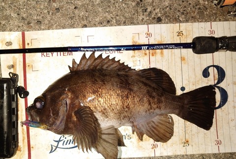 Screenshot_20260101-094458~2