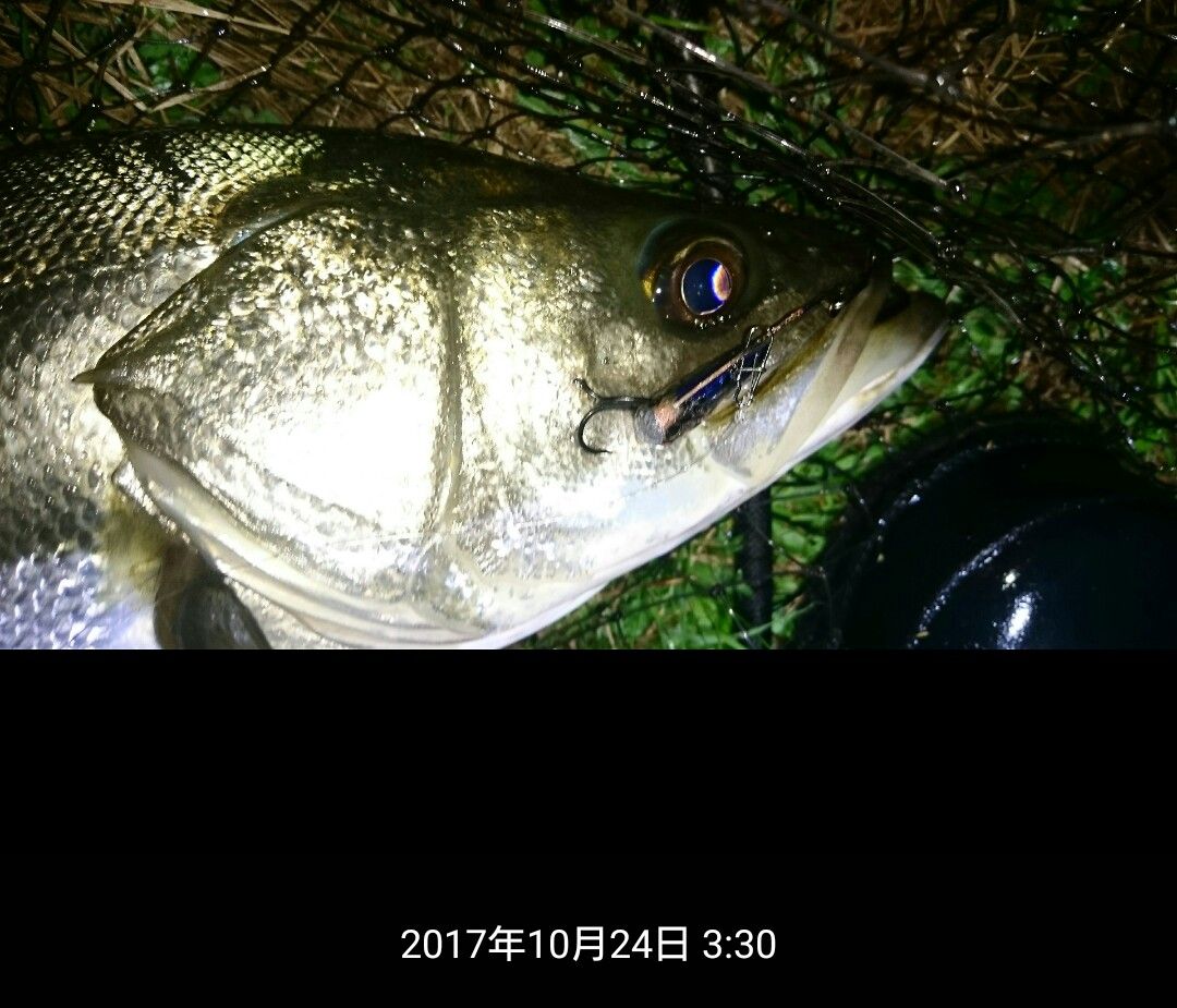 涸沼シーバス37 17 台風明け涸沼状況 涸沼シーバス魂 のり釣行記 第2章 釣りと日常と私 涸沼シーバス37 17 台風明け涸沼状況 涸沼シーバス魂 のり釣行記 第2章 釣りと日常と私