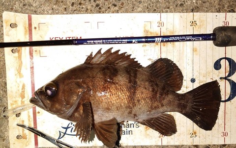 Screenshot_20260101-094510~2