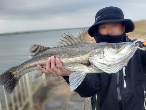 Point Blur_20260101_102615