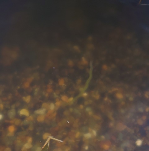 20260316_175947