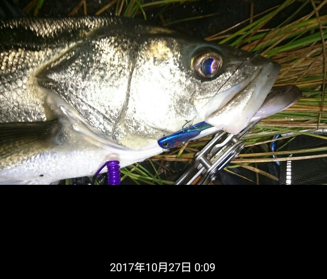 涸沼シーバス38 17 リアルスティールで70up 涸沼シーバス魂 のり釣行記 第２章 釣りと日常と私