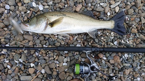 Point Blur_20200603_062312