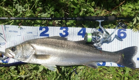 Screenshot_20260101-094545~2