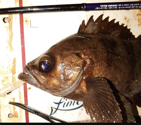 Screenshot_20260101-094505~2