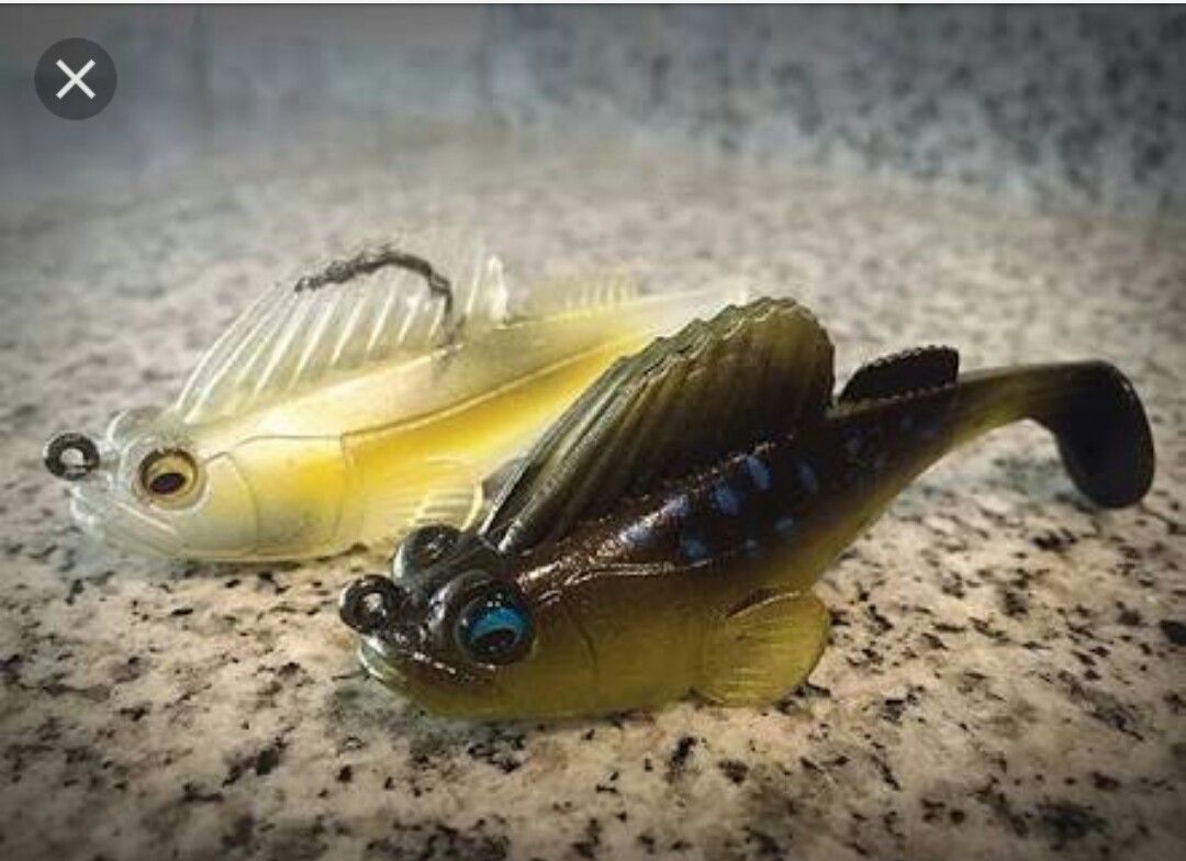 ダークスリーパー 涸沼シーバスのハゼパターンに 涸沼シーバス魂 のり釣行記 第2章 釣りと日常と私 ダークスリーパー 涸沼シーバスのハゼパターンに 涸沼シーバス魂 のり釣行記 第2章 釣りと日常と私