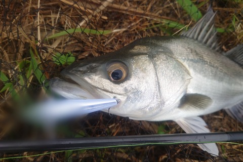 Point Blur_20251026_203519