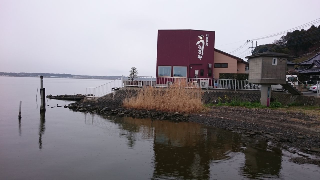 涸沼シーバス 涸沼状況 涸沼シーバス魂 のり釣行記 第2章 釣りと日常と私 涸沼シーバス 涸沼状況 涸沼シーバス魂 のり釣行記 第2章 釣りと日常と私