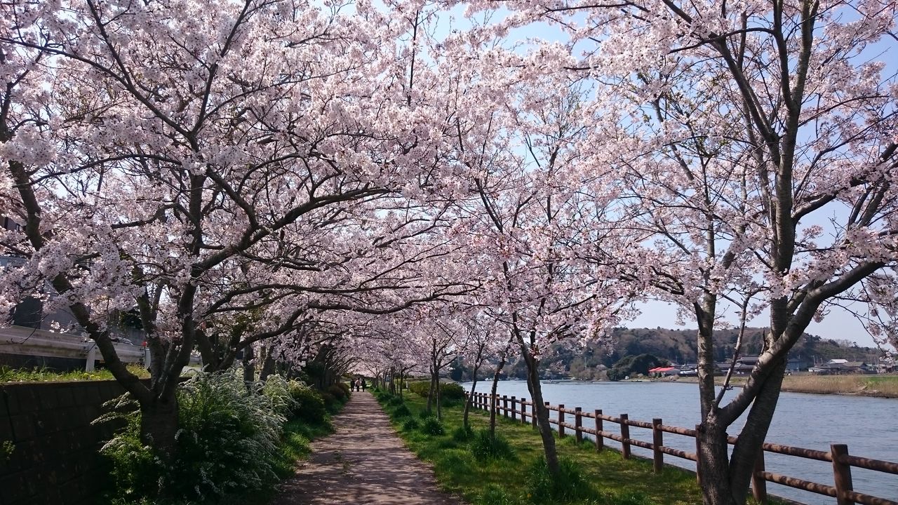 涸沼シーバス4 17 マイクロベイト ボイル 涸沼シーバス魂 のり釣行記 第２章 釣りと日常と私