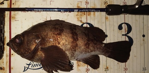 Screenshot_20260101-094005~2