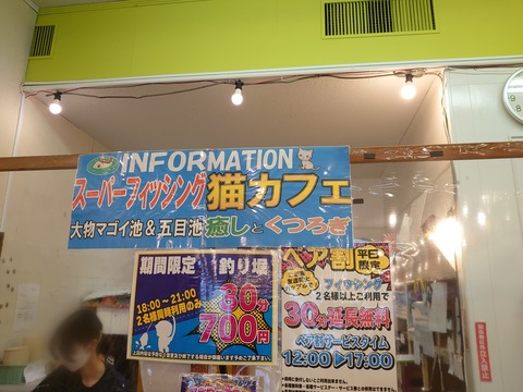 Point Blur_20240902_163324