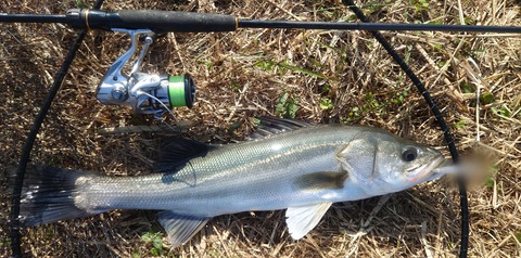 Point Blur_20251107_211523