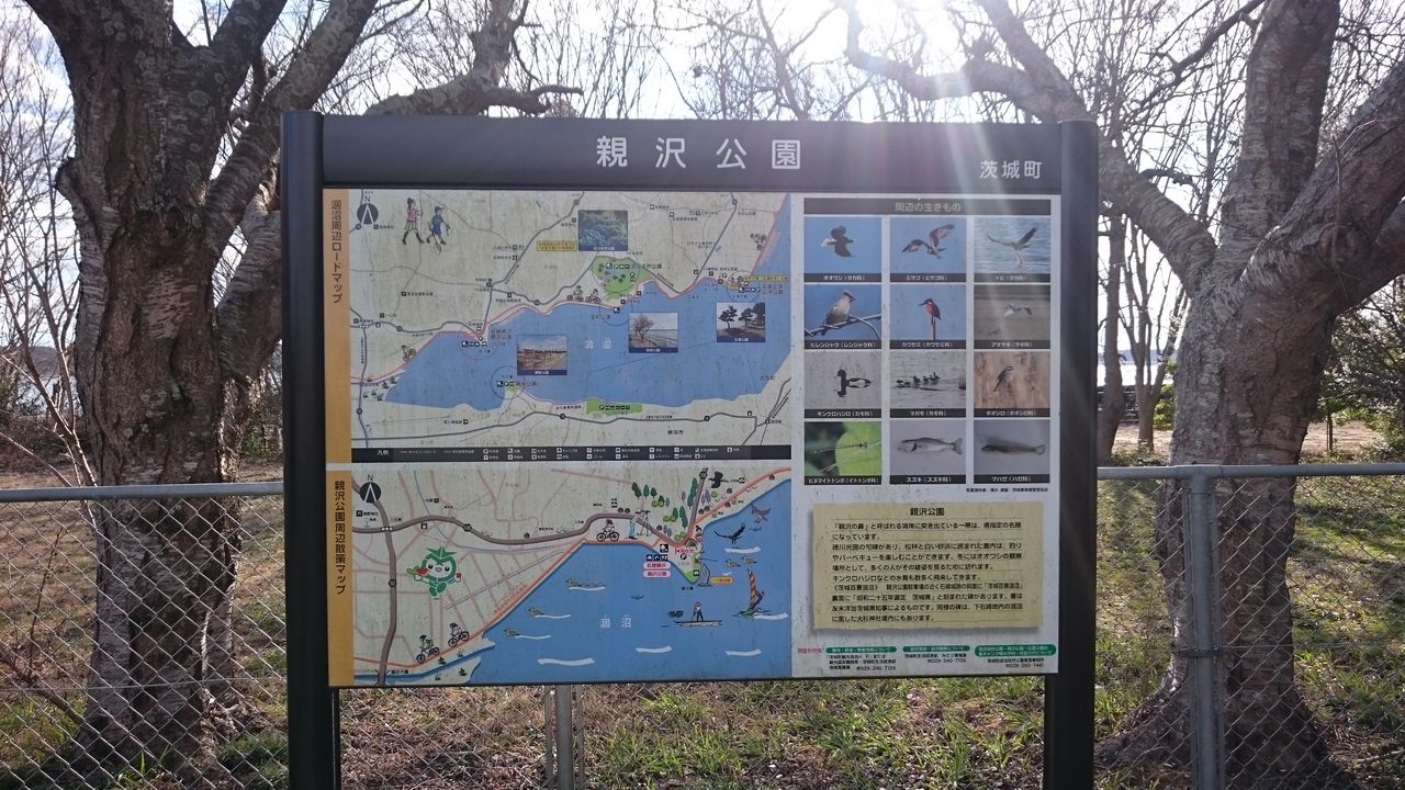 続 涸沼 親沢公園釣り禁止について 涸沼シーバス魂 のり釣行記 第2章 釣りと日常と私 続 涸沼 親沢公園釣り禁止について 涸沼シーバス魂 のり釣行記 第2章 釣りと日常と私