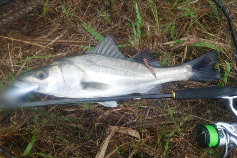 Point Blur_20251026_203614