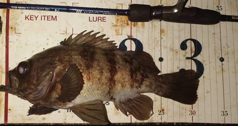 Screenshot_20260101-093947~2