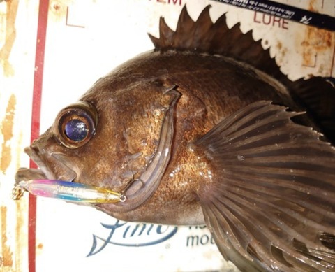 Screenshot_20260101-094446~2