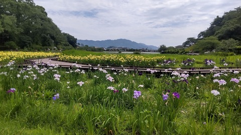 入梅。駆け込みポタリング : noriggartenのblog