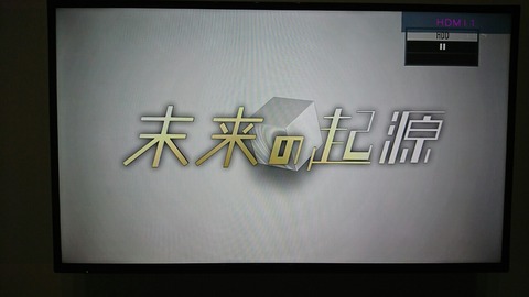 研究をする弟に思うこと。